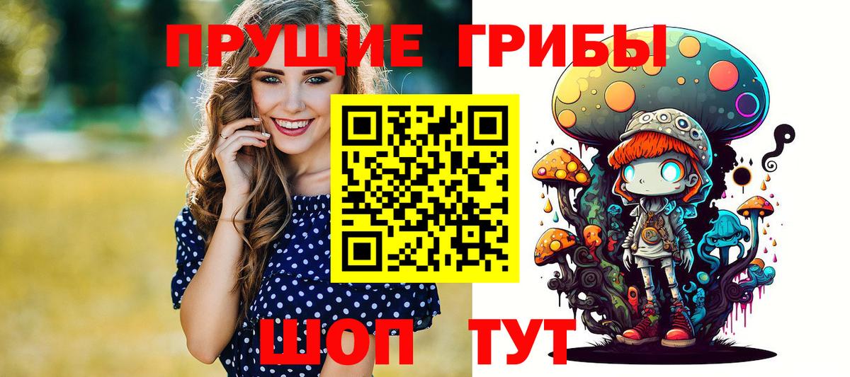 Владикавказ  закладки  Вход с VPN  Псилоцибиновые грибы мицелий 