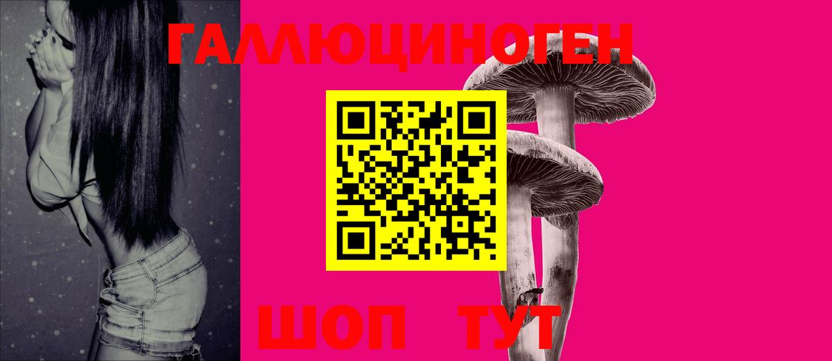 Галлюциногенные грибы Psilocybine cubensis Владикавказ